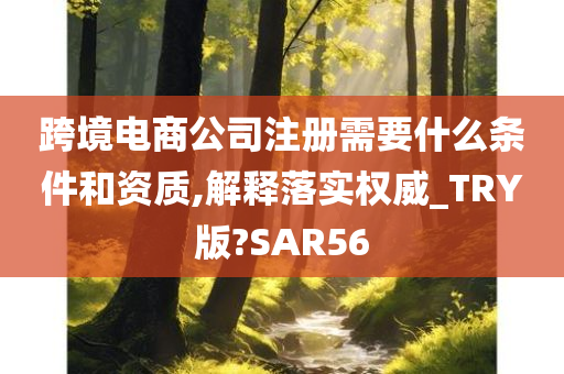 跨境电商公司注册需要什么条件和资质,解释落实权威_TRY版?SAR56