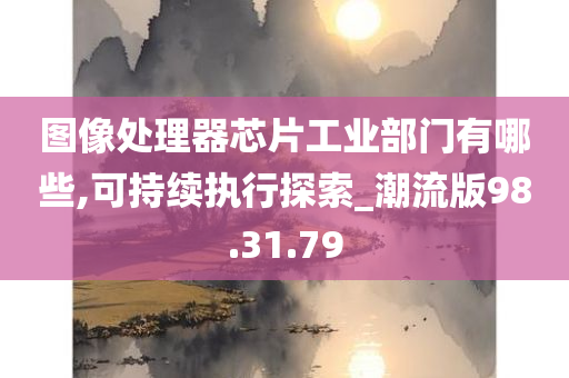 图像处理器芯片工业部门有哪些,可持续执行探索_潮流版98.31.79