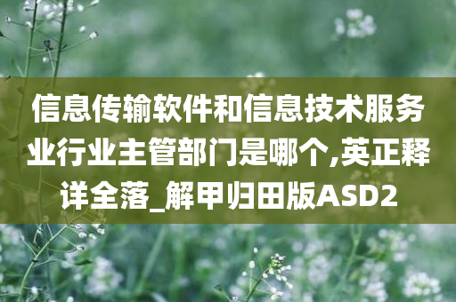 信息传输软件和信息技术服务业行业主管部门是哪个,英正释详全落_解甲归田版ASD2