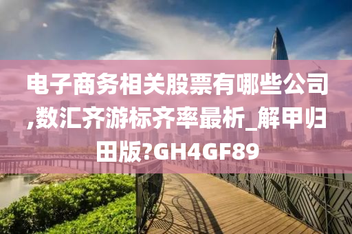 电子商务相关股票有哪些公司,数汇齐游标齐率最析_解甲归田版?GH4GF89