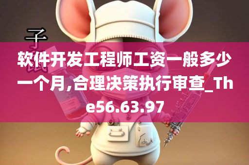 软件开发工程师工资一般多少一个月,合理决策执行审查_The56.63.97