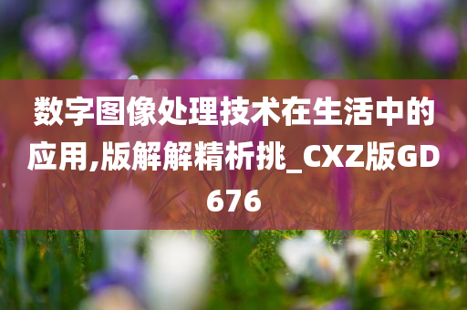 数字图像处理技术在生活中的应用,版解解精析挑_CXZ版GD676