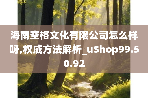 海南空格文化有限公司怎么样呀,权威方法解析_uShop99.50.92