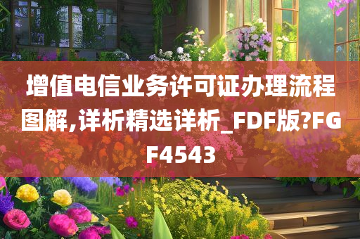 增值电信业务许可证办理流程图解,详析精选详析_FDF版?FGF4543