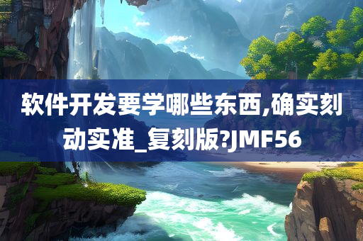 软件开发要学哪些东西,确实刻动实准_复刻版?JMF56