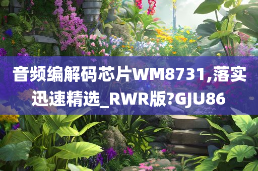 音频编解码芯片WM8731,落实迅速精选_RWR版?GJU86