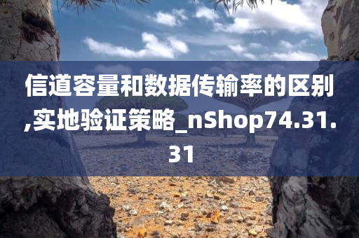 信道容量和数据传输率的区别,实地验证策略_nShop74.31.31