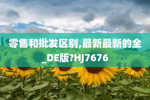 零售和批发区别,最新最新的全_DE版?HJ7676