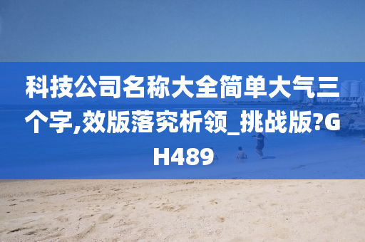 科技公司名称大全简单大气三个字,效版落究析领_挑战版?GH489