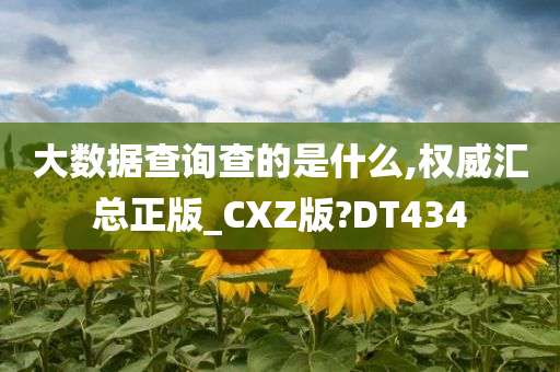 大数据查询查的是什么,权威汇总正版_CXZ版?DT434