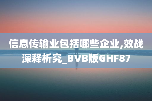 信息传输业包括哪些企业,效战深释析究_BVB版GHF87