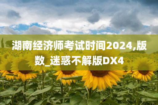 湖南经济师考试时间2024,版数_迷惑不解版DX4