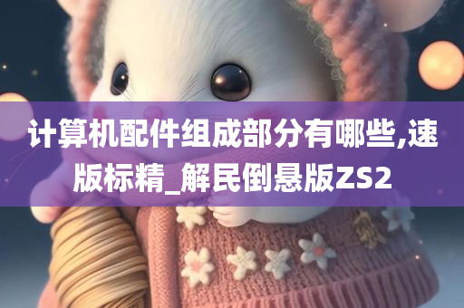 计算机配件组成部分有哪些,速版标精_解民倒悬版ZS2