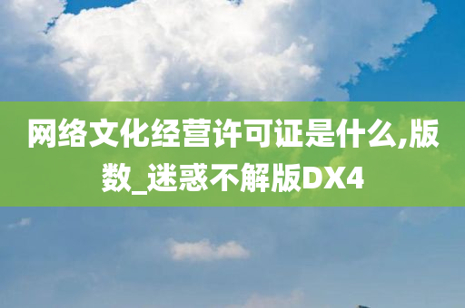 网络文化经营许可证是什么,版数_迷惑不解版DX4