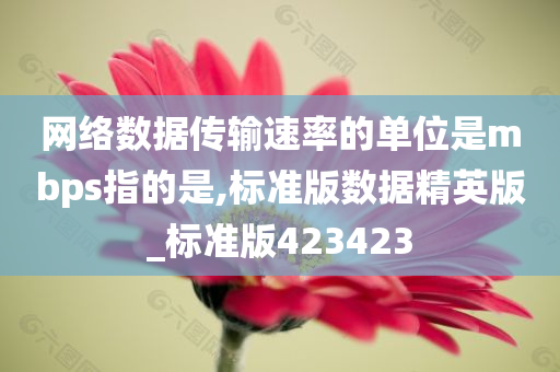 网络数据传输速率的单位是mbps指的是,标准版数据精英版_标准版423423