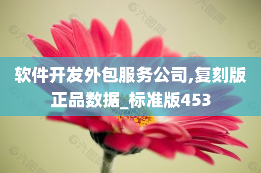 软件开发外包服务公司,复刻版正品数据_标准版453