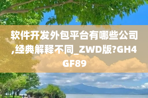 软件开发外包平台有哪些公司,经典解释不同_ZWD版?GH4GF89