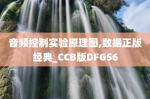 音频控制实验原理图,数据正版经典_CCB版DFG56