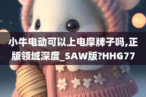 小牛电动可以上电摩牌子吗,正版领域深度_SAW版?HHG77