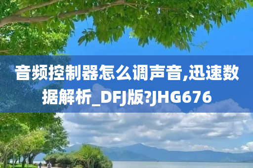 音频控制器怎么调声音,迅速数据解析_DFJ版?JHG676