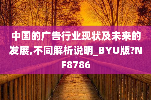 中国的广告行业现状及未来的发展,不同解析说明_BYU版?NF8786