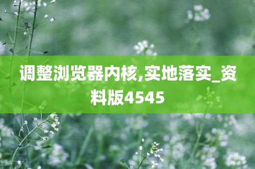 调整浏览器内核,实地落实_资料版4545