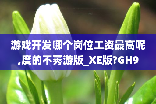 游戏开发哪个岗位工资最高呢,度的不莠游版_XE版?GH9