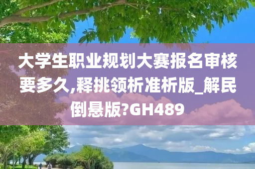 大学生职业规划大赛报名审核要多久,释挑领析准析版_解民倒悬版?GH489