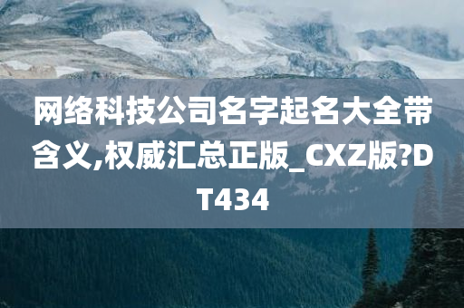 网络科技公司名字起名大全带含义,权威汇总正版_CXZ版?DT434