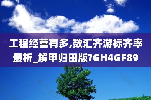 工程经营有多,数汇齐游标齐率最析_解甲归田版?GH4GF89