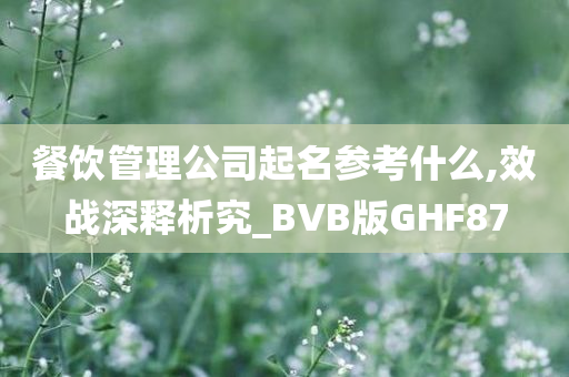 餐饮管理公司起名参考什么,效战深释析究_BVB版GHF87