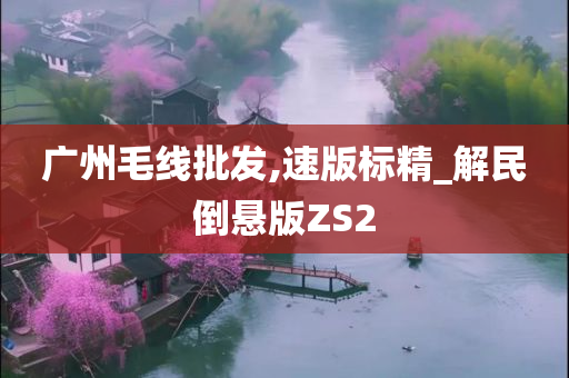 广州毛线批发,速版标精_解民倒悬版ZS2