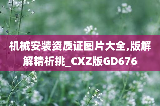 机械安装资质证图片大全,版解解精析挑_CXZ版GD676