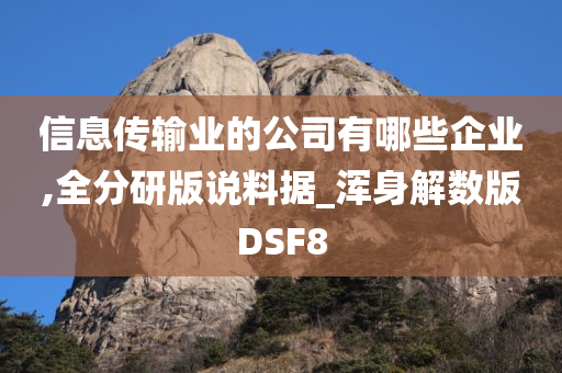 信息传输业的公司有哪些企业,全分研版说料据_浑身解数版DSF8