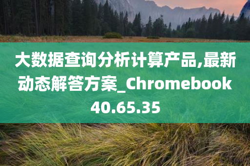 大数据查询分析计算产品,最新动态解答方案_Chromebook40.65.35