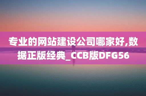 专业的网站建设公司哪家好,数据正版经典_CCB版DFG56