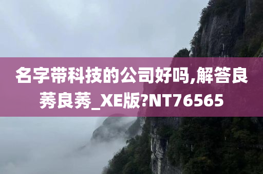 名字带科技的公司好吗,解答良莠良莠_XE版?NT76565