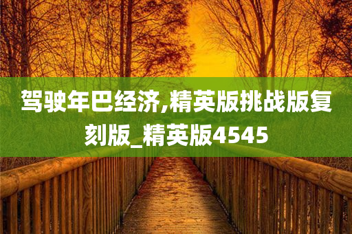 驾驶年巴经济,精英版挑战版复刻版_精英版4545