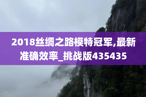 2018丝绸之路模特冠军,最新准确效率_挑战版435435