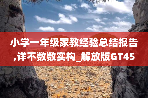 小学一年级家教经验总结报告,详不数数实构_解放版GT45