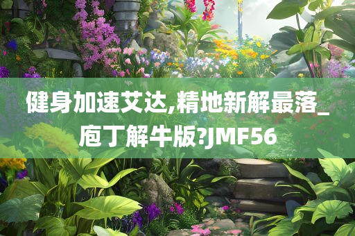 健身加速艾达,精地新解最落_庖丁解牛版?JMF56