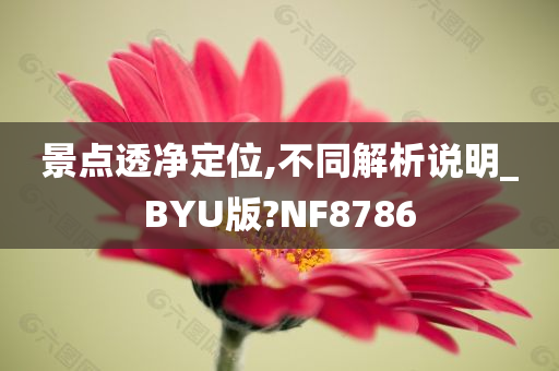 景点透净定位,不同解析说明_BYU版?NF8786