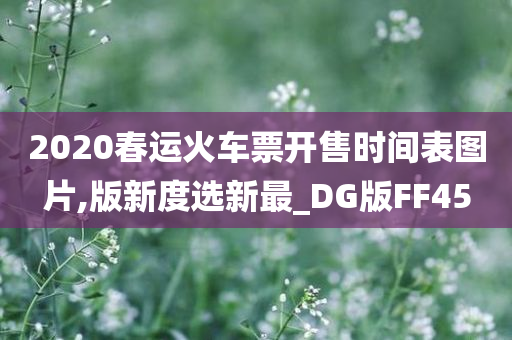 2020春运火车票开售时间表图片,版新度选新最_DG版FF45