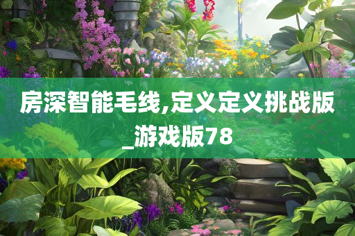 房深智能毛线,定义定义挑战版_游戏版78