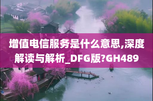 增值电信服务是什么意思,深度解读与解析_DFG版?GH489