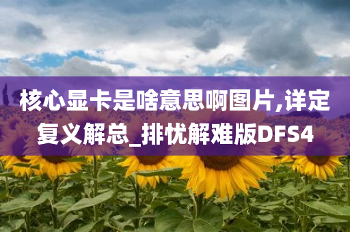 核心显卡是啥意思啊图片,详定复义解总_排忧解难版DFS4