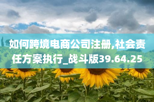 如何跨境电商公司注册,社会责任方案执行_战斗版39.64.25