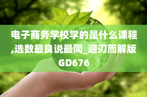 电子商务学校学的是什么课程,选数最良说最同_迎刃而解版GD676