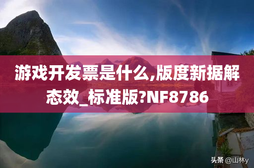 游戏开发票是什么,版度新据解态效_标准版?NF8786