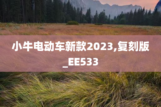 小牛电动车新款2023,复刻版_EE533